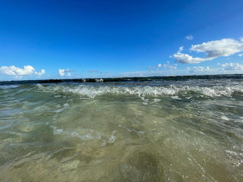 La Perle, T2 Les Pieds Dans L'eau à 50m De La Saint-Francois (Grande-Terre)