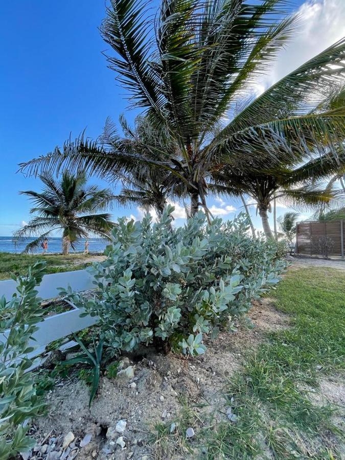 Appartement La Perle, T2 Les Pieds Dans L'eau à 50m De La